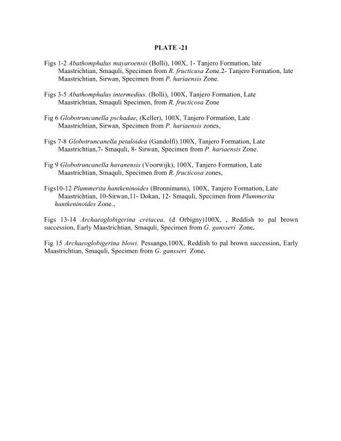 biostratigraphy and paleoecology of cretaceous/tertiary boundary in ...