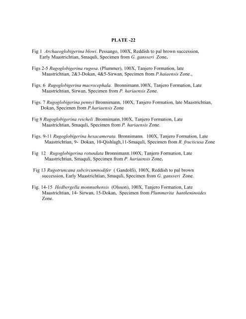 biostratigraphy and paleoecology of cretaceous/tertiary boundary in ...