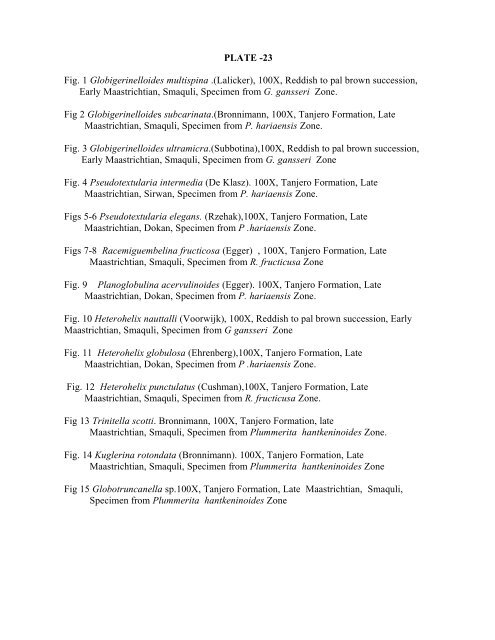 biostratigraphy and paleoecology of cretaceous/tertiary boundary in ...