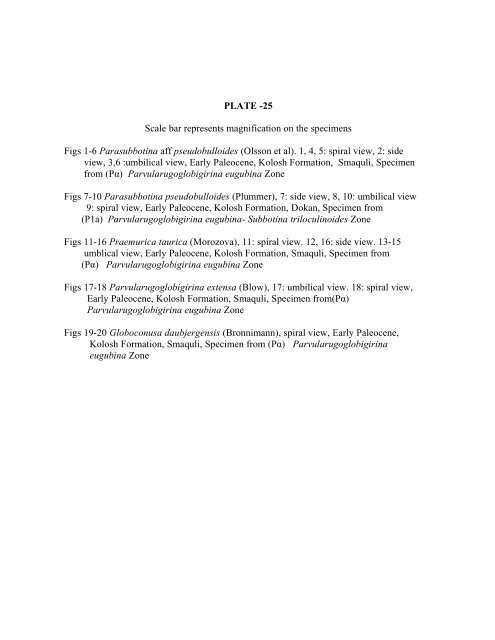 biostratigraphy and paleoecology of cretaceous/tertiary boundary in ...