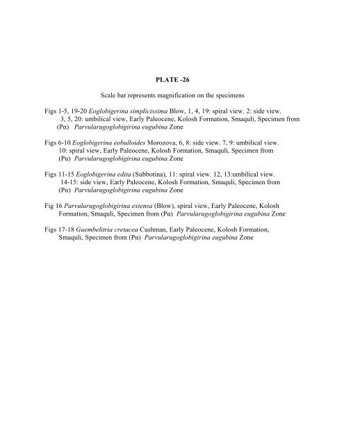 biostratigraphy and paleoecology of cretaceous/tertiary boundary in ...