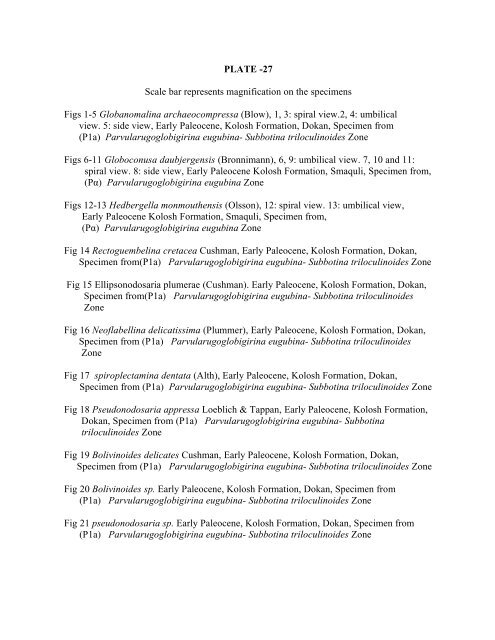 biostratigraphy and paleoecology of cretaceous/tertiary boundary in ...