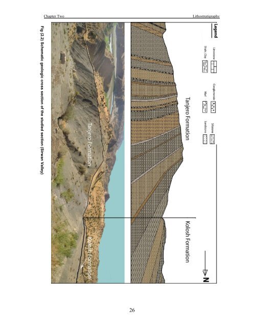 biostratigraphy and paleoecology of cretaceous/tertiary boundary in ...