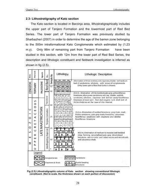 biostratigraphy and paleoecology of cretaceous/tertiary boundary in ...