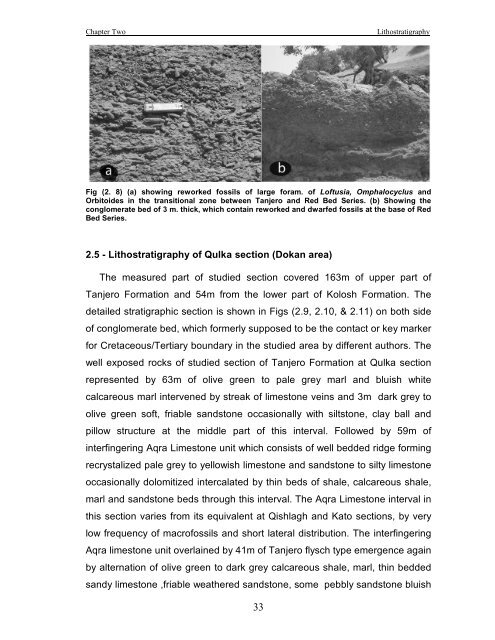 biostratigraphy and paleoecology of cretaceous/tertiary boundary in ...