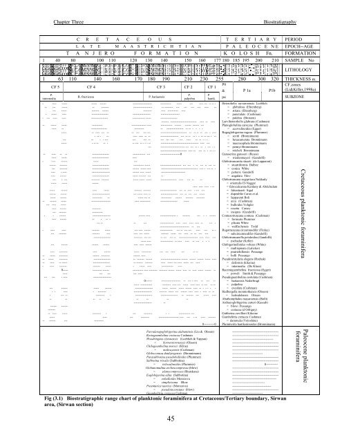 biostratigraphy and paleoecology of cretaceous/tertiary boundary in ...