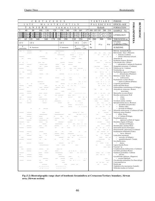 biostratigraphy and paleoecology of cretaceous/tertiary boundary in ...