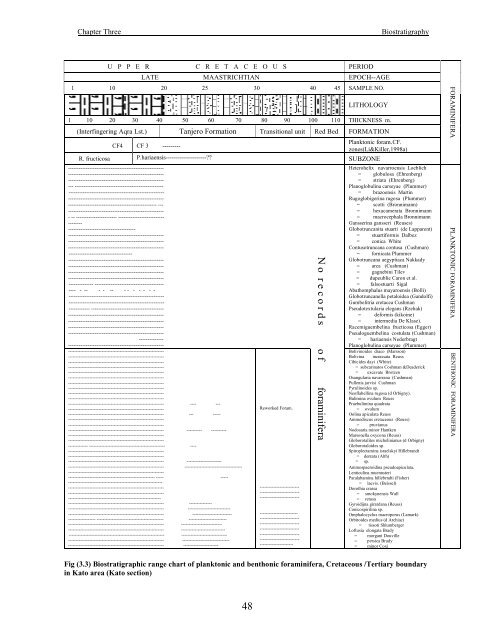 biostratigraphy and paleoecology of cretaceous/tertiary boundary in ...