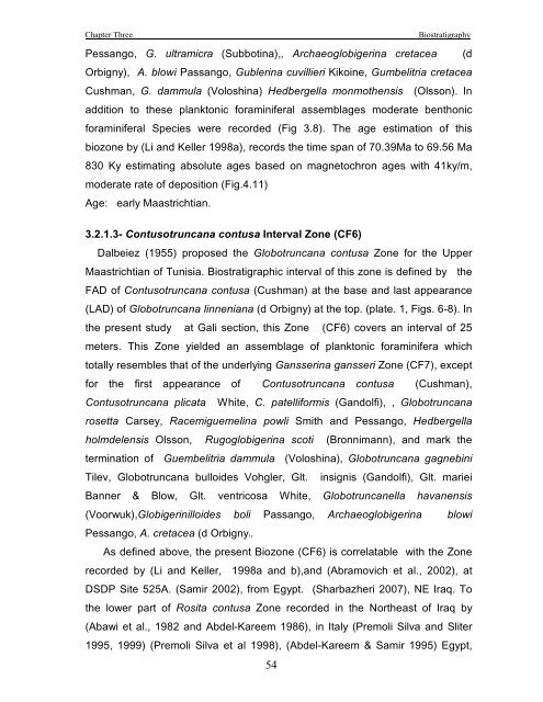 biostratigraphy and paleoecology of cretaceous/tertiary boundary in ...