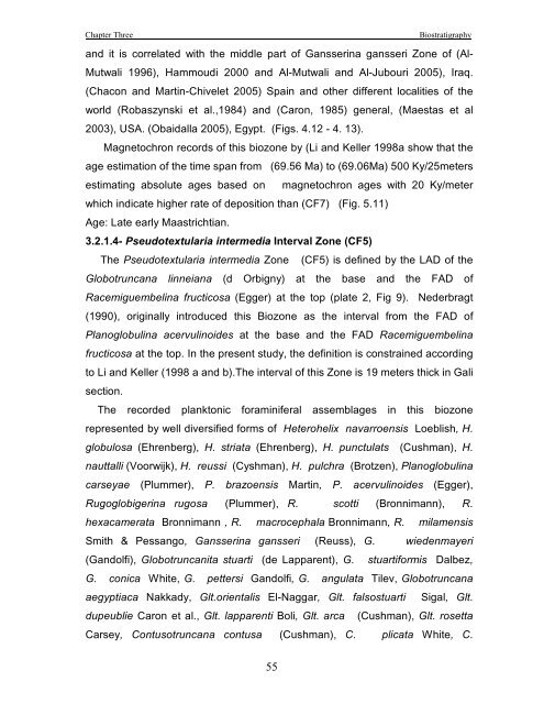 biostratigraphy and paleoecology of cretaceous/tertiary boundary in ...