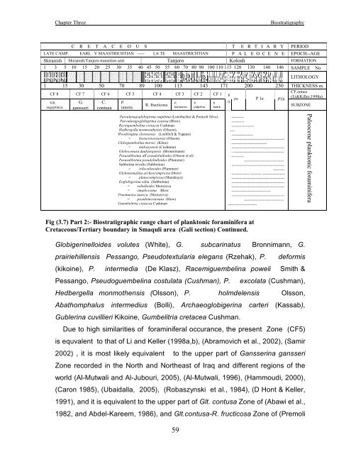 biostratigraphy and paleoecology of cretaceous/tertiary boundary in ...