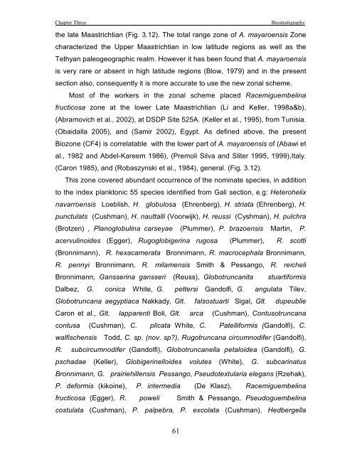 biostratigraphy and paleoecology of cretaceous/tertiary boundary in ...