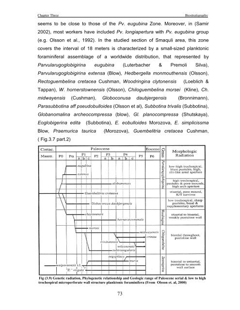 biostratigraphy and paleoecology of cretaceous/tertiary boundary in ...