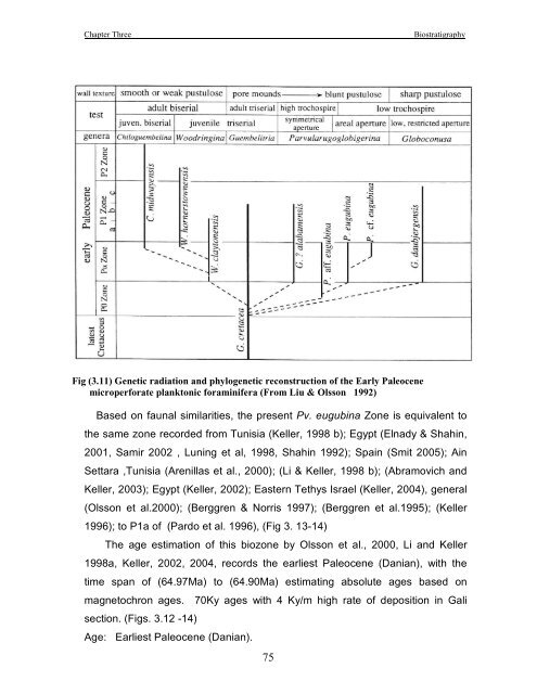 biostratigraphy and paleoecology of cretaceous/tertiary boundary in ...