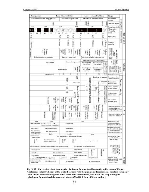 biostratigraphy and paleoecology of cretaceous/tertiary boundary in ...