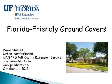 Florida-Friendly Ground Covers - University of Florida