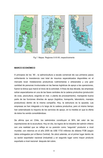 operatividad de embarcaciones tipo wellboat - CyberTesis UACh ...