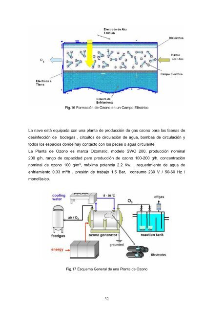 operatividad de embarcaciones tipo wellboat - CyberTesis UACh ...