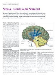 Stress: zurück in die Steinzeit - lendenmann.org