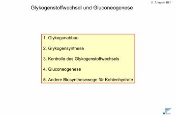 Glykogen