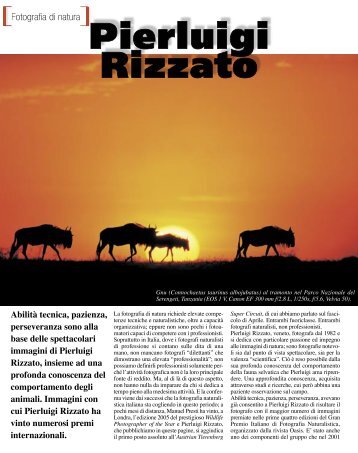 Pierluigi Rizzato