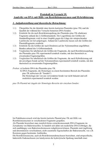 1 Protokoll zu Versuch 19: Analytik von DNA mit ... - Pharmastudent