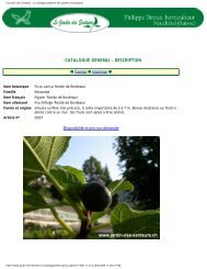 Brotherhood Of The Planters Of Rare Fruit Nurseries Figs 4 Fun