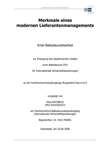 EHRENWÖRTLICHE ERKLÄRUNG - IT-Services ...