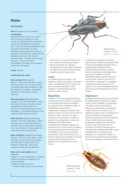 Blattes - Bayer Pestcontrol Expert