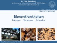 Bienenkrankheiten - Landesanstalt für Bienenkunde - Universität ...