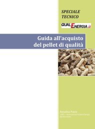 scarica la versione in pdf - QualEnergia