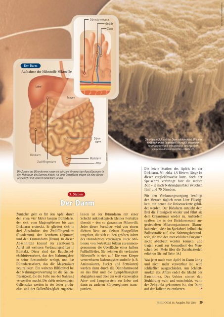 MENTAL– MENTAL– MENTAL– MENTAL - Medicom