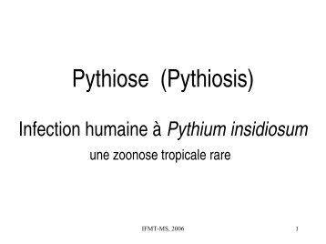 Pythiose