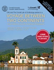 cruise brochure with itinerary and cabin prices - School of ...