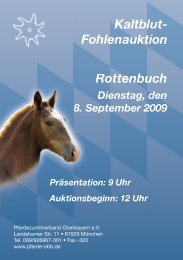Auktionsfohlen - Pferdezuchtverband Oberbayern eV