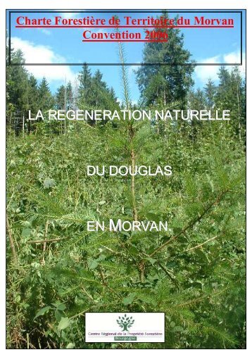 (rÃ©gÃ©nÃ©ration naturelle Douglas) - Parc naturel rÃ©gional du Morvan