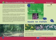 Schautafeln des Polderinfopfades - Jockgrim Tourismus