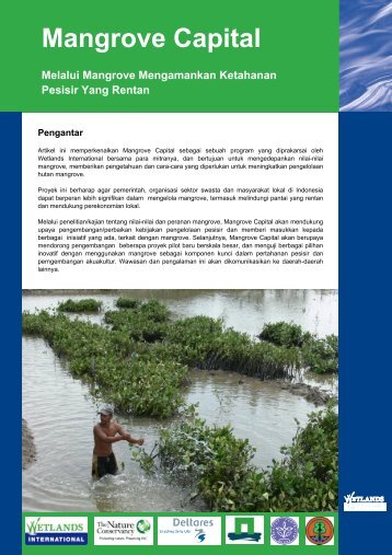 Brochure Mangrove Capital (Indonesia).pdf - Wetlands International ...