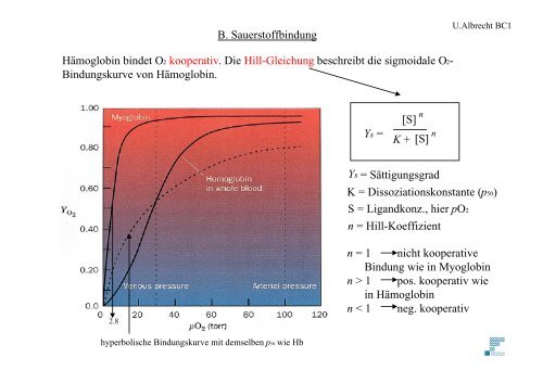 HÃ¤moglobin: Proteinfunktion und Mikrokosmos (Voet Kapitel 9)