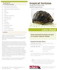 Rabbit Care Sheet (PDF) - Petco