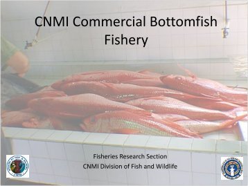 CNMI Commercial Bottomfish Fishery - Pacific Islands Fisheries ...