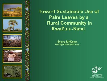 Toward Sustainable Use of Palm Leaves by a Rural ... - SANParks