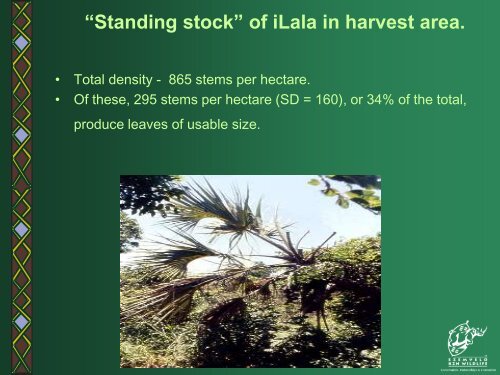 Toward Sustainable Use of Palm Leaves by a Rural ... - SANParks