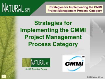 Strategies for Implementing the CMMI Project Management Process ...