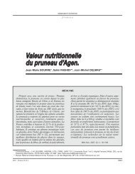 Valeur nutritionnelle du pruneau d'Agen. - Jean-Marie Bourre