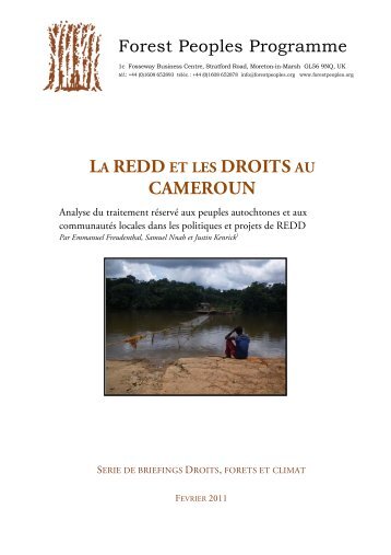 Projets sous-nationaux de REDD - Forest Peoples Programme