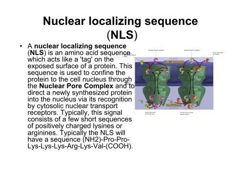 • Lipids are naturally occurring molecules from plants or animals that ...