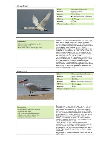 Vogels