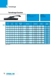 Katalogauszug Tortreibriegel - Heinrich Strenger GmbH