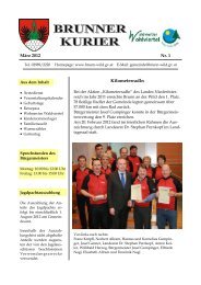 Datei herunterladen (769 KB) - .PDF - Gemeinde Brunn an der Wild
